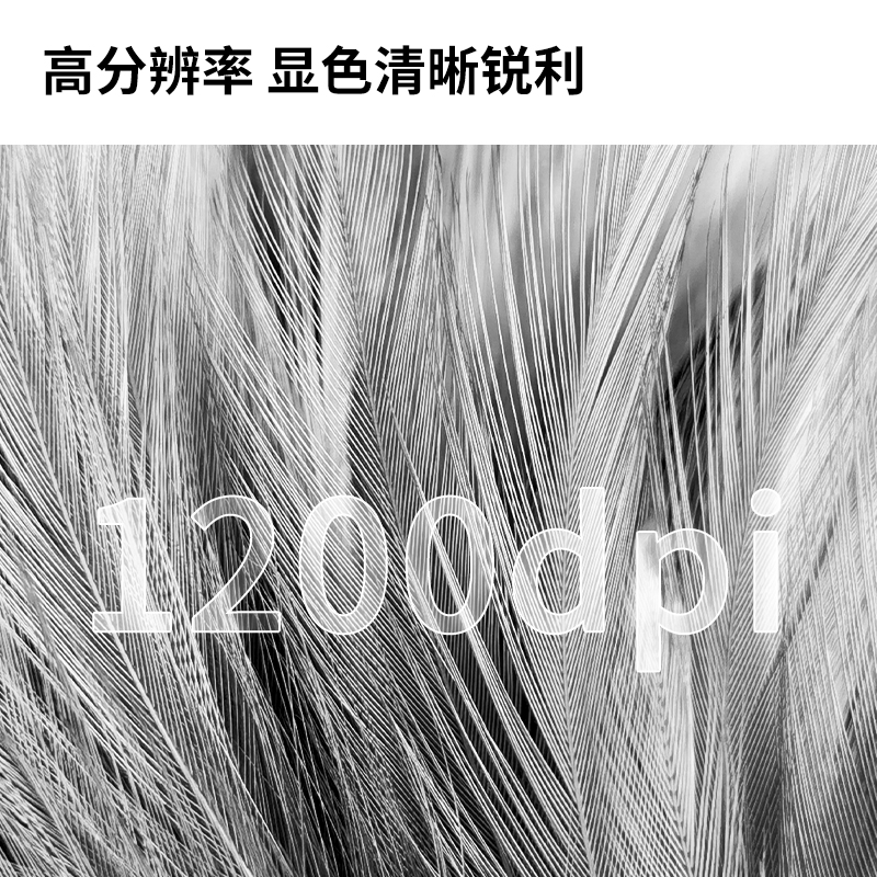 多功能一体机 得力/deli DCM24ADN 彩色激光 A4 一体式硒鼓