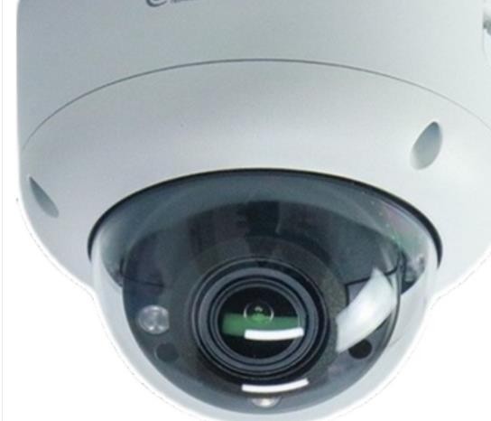 摄像头 大华/Dahua DH-IPC-HDBW4843R1-ZYL-PV-AS 黑白 800W