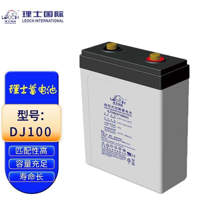 蓄电池 理士/LEOCH DJ100