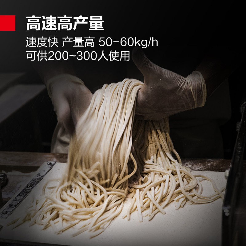 面条机/压面机 德玛仕/DEMASHI MT50-2 电动 按键式 不锈钢色 和面