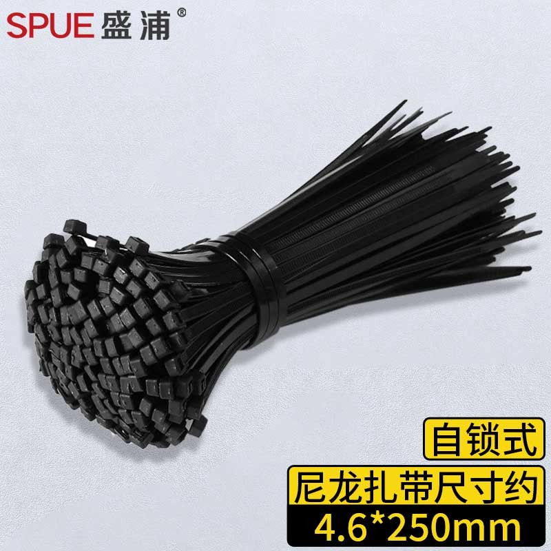 扎带 盛浦 SD-25H-200 黑色 200支