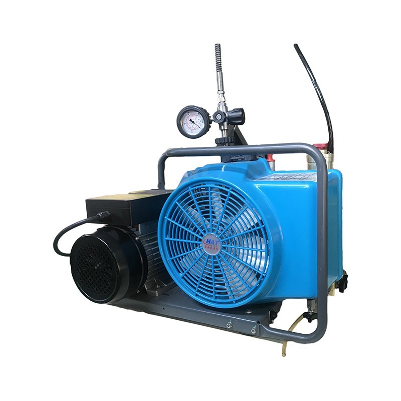 充气泵 海安特/HAT HL100 指针 双缸以上 电动