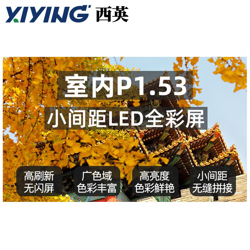 LED显示屏 西英 XY-A047 全彩色显示屏 室内 100*100cm