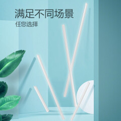 公牛（BULL）LED灯管家用照明客厅卧室宿舍酒店商场超市 T5一体化灯管日光灯长条支架灯17W/4000K冷白色/1.2m