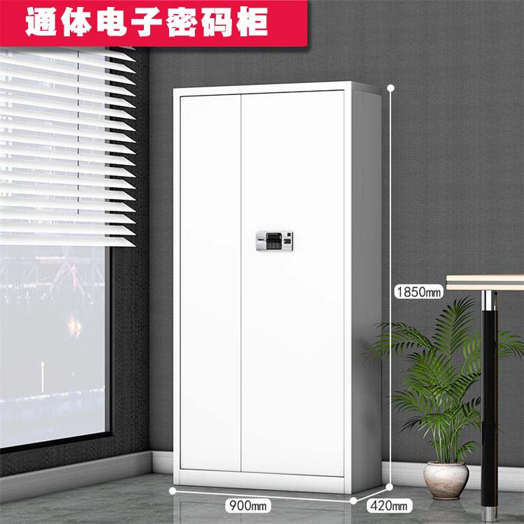 保险柜/保险箱/保管箱 盛花/SH 100009843599 双开门 密码+钥匙