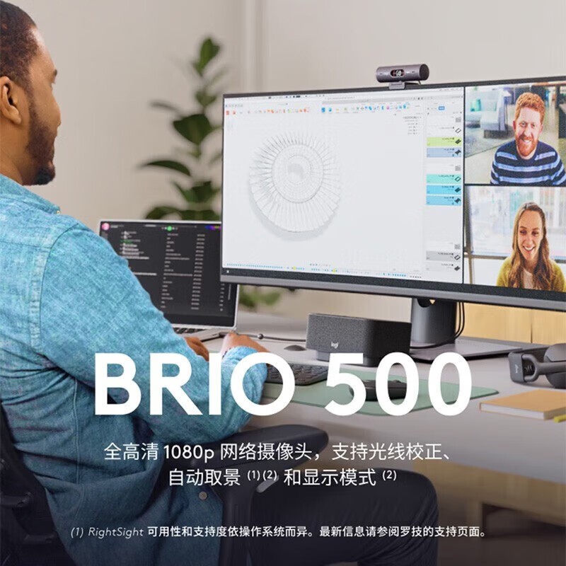 摄像头 罗技/Logitech Brio 500 彩色 1300 存储方式:无