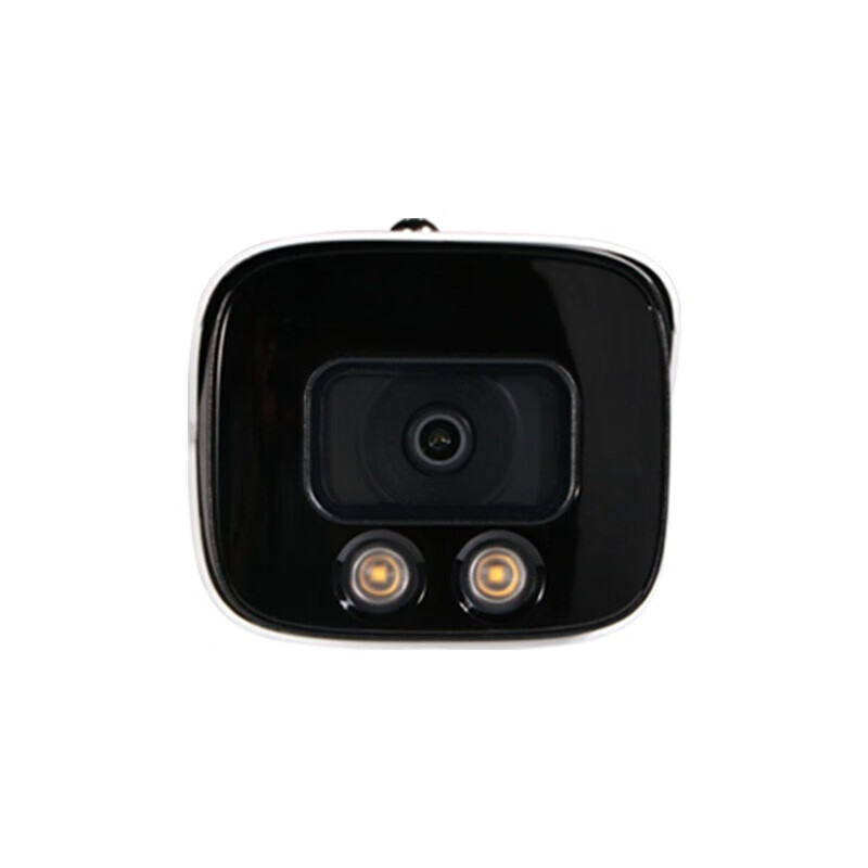 摄像头 大华/Dahua DH-IPC-HFW4843M1-A-IL 彩色 800 云存