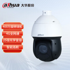 摄像头 大华/Dahua DH-SD4425-DGQ-i 彩色 400 硬盘