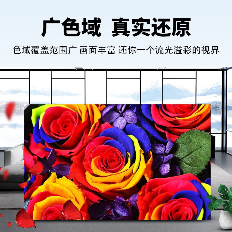 LED显示屏 洛菲特/LOFIT LFTHL25PW 全彩色显示屏 室外 100*100cm