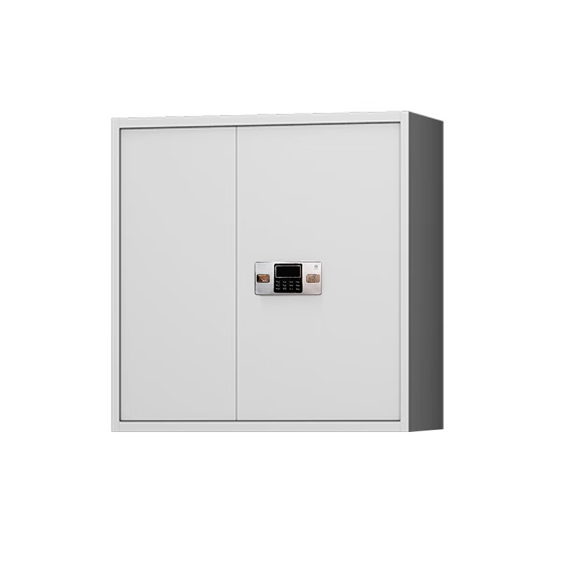 保险柜/保险箱/保管箱 盛花/SH 100063083920 双开门 密码+钥匙