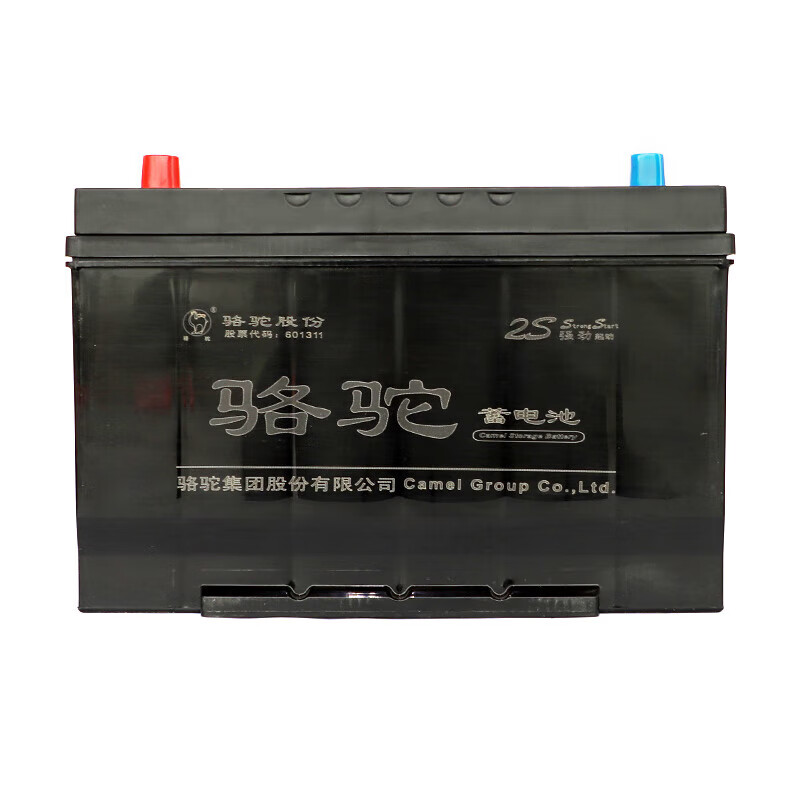 蓄电池 骆驼/CAMEL G31