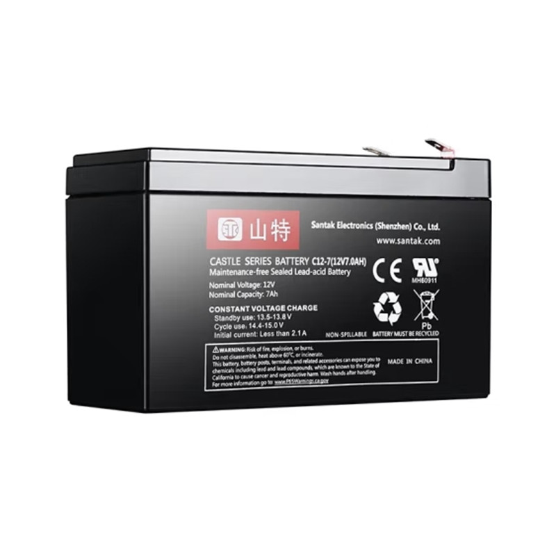 蓄电池 山特/SANTAK C12-100