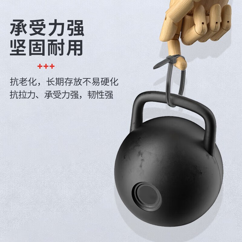 扎带 盛浦 S-ZDH-4.6*250mm 黑色 100