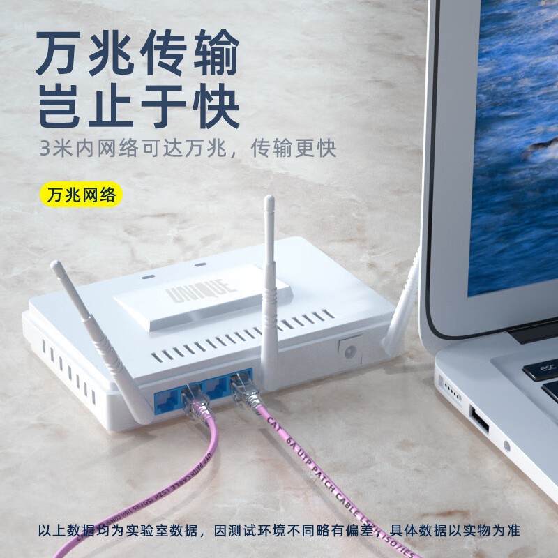 网线 柏森德 BSD-H6100 10 黑色 非屏蔽