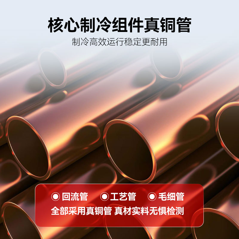 保鲜柜 喜莱盛 XLS-2GBC-1 直冷 双门 920L