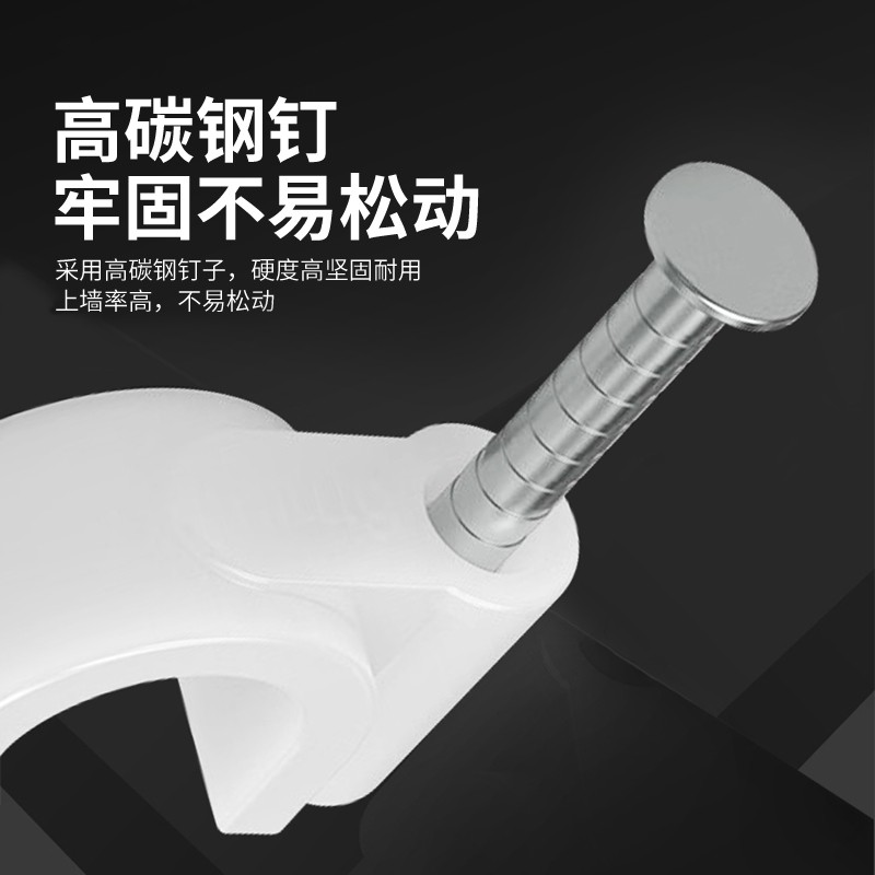 钉子 盛浦 SXK-25-100 100