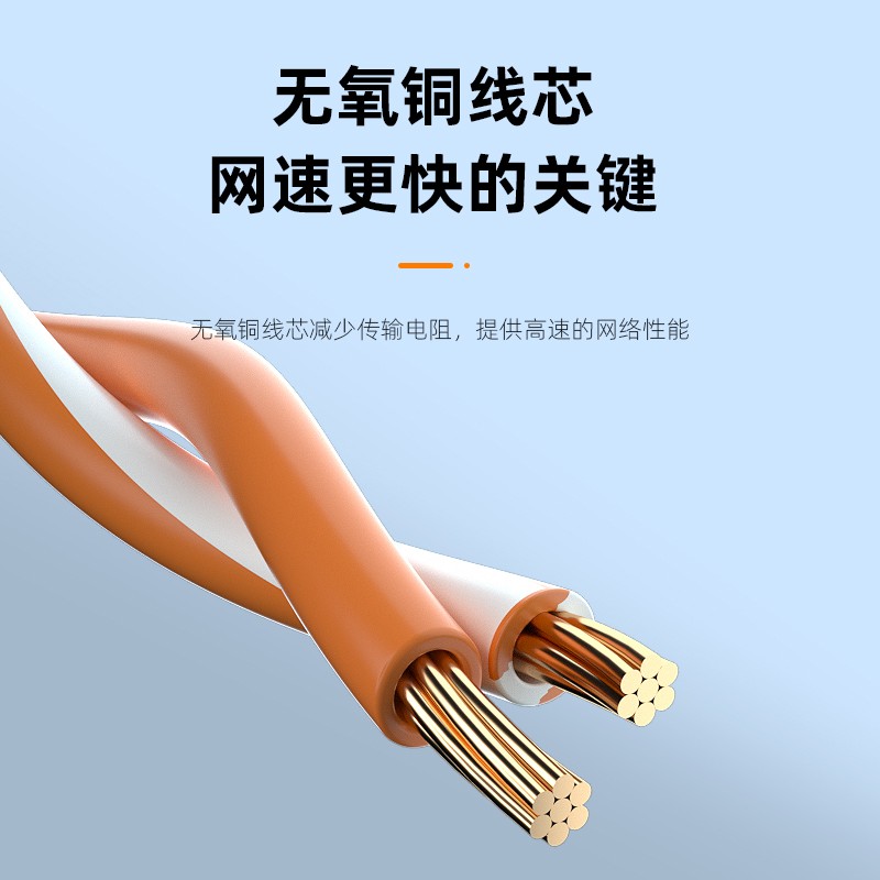 网线 柏森德 BSD-L6100C 10 蓝色 非屏蔽