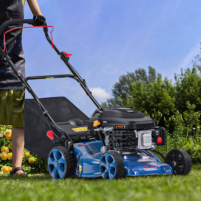 割草机 东成/DONGCHENG FF04-SSS48 割草机 蓝色