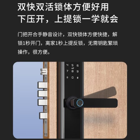 电子门锁 歌派/Gepad PT-ZWS08 临时密码, 远程解锁, 磁卡解锁, 钥匙解锁, 密码解锁, 指纹解锁 执手式 黑色