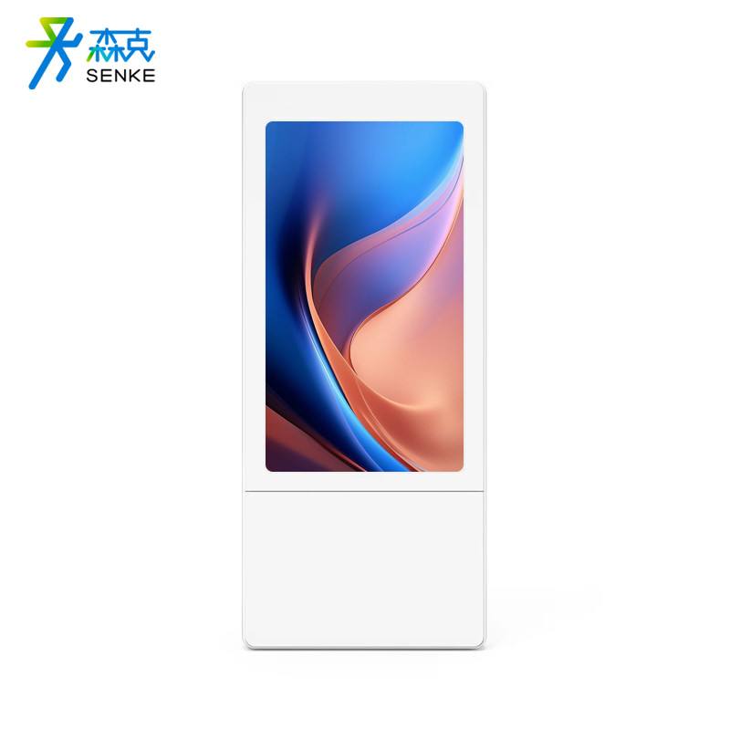 显示屏 森克/SENKE SK-215BGJHBD 全彩色显示屏 室内 21.5英寸