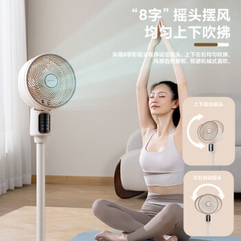 荣事达（Royalstar）电风扇空气循环扇家用落地扇3D摇头电风扇语音遥控台式立式八字摇头柔风电风扇轻音节能FXL161D