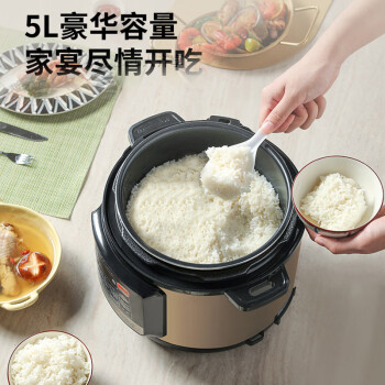 荣事达双胆电压力锅3-4人全自动全智能高压锅多功能一锅多用煲汤高压电饭锅电饭煲5升 50-100A108(LB)Y