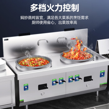 圣托（Shentop）商用大型燃气灶双头大炒灶 酒店饭店煤气大锅灶 学校食堂液化气猛火灶 STRA-BD100