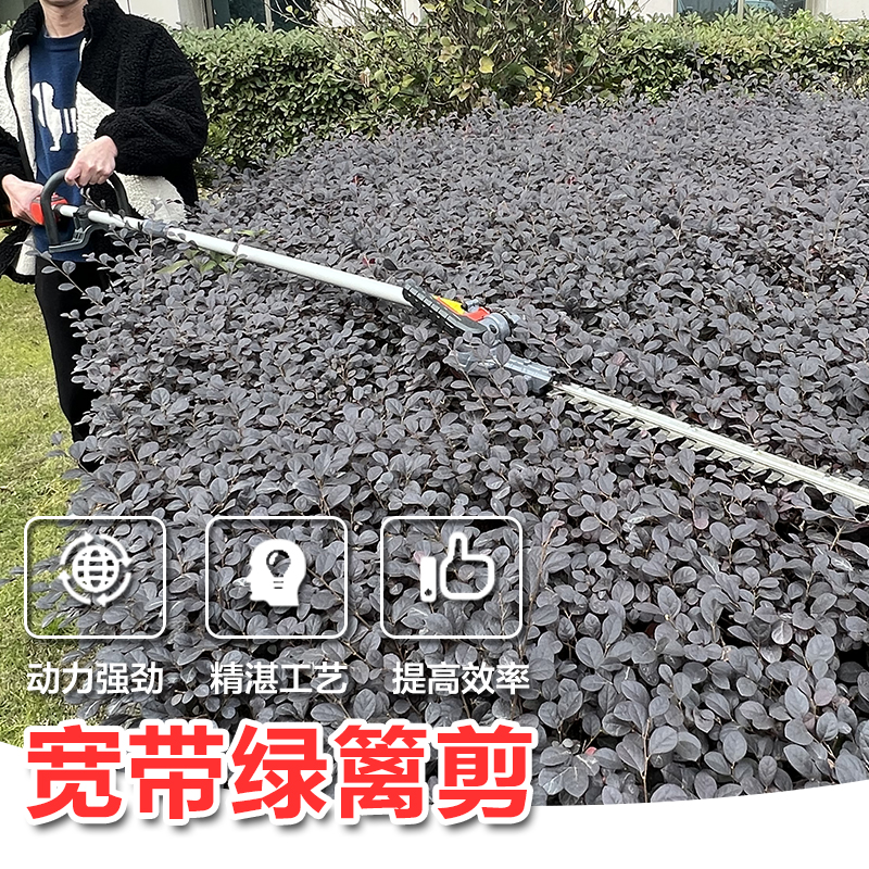 奥晟机械40V锂电宽带绿篱剪电动修枝剪充电式园林修枝机茶树叶...