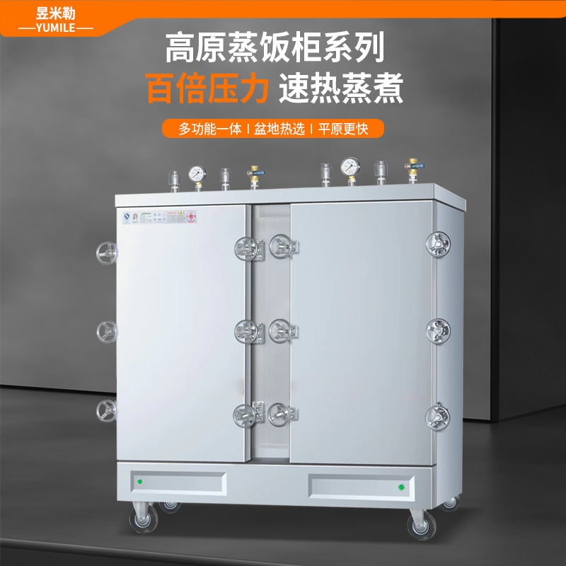 商用豪华型高原电气两用双门24盘380V蒸饭柜 食堂单位学校米饭包子馒头面食蒸柜车
