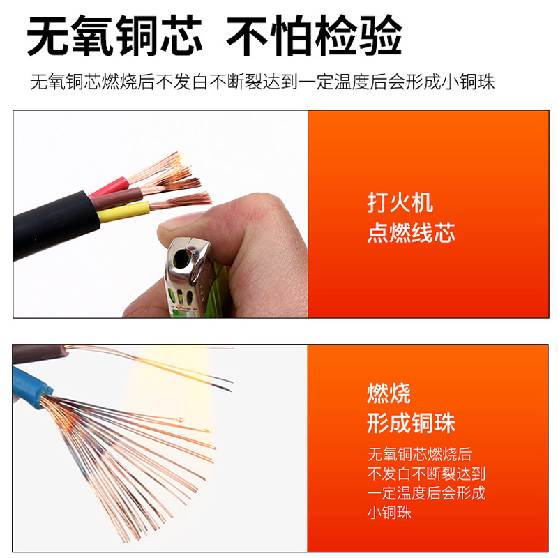 举山 电源线 ZR-RVV2x6 2芯 6平方 黑色 1米 阻燃 国标多股铜丝软护套线