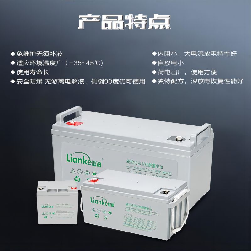联科（LianKe）UPS电源蓄电池免维护铅酸蓄电池12V65AH
