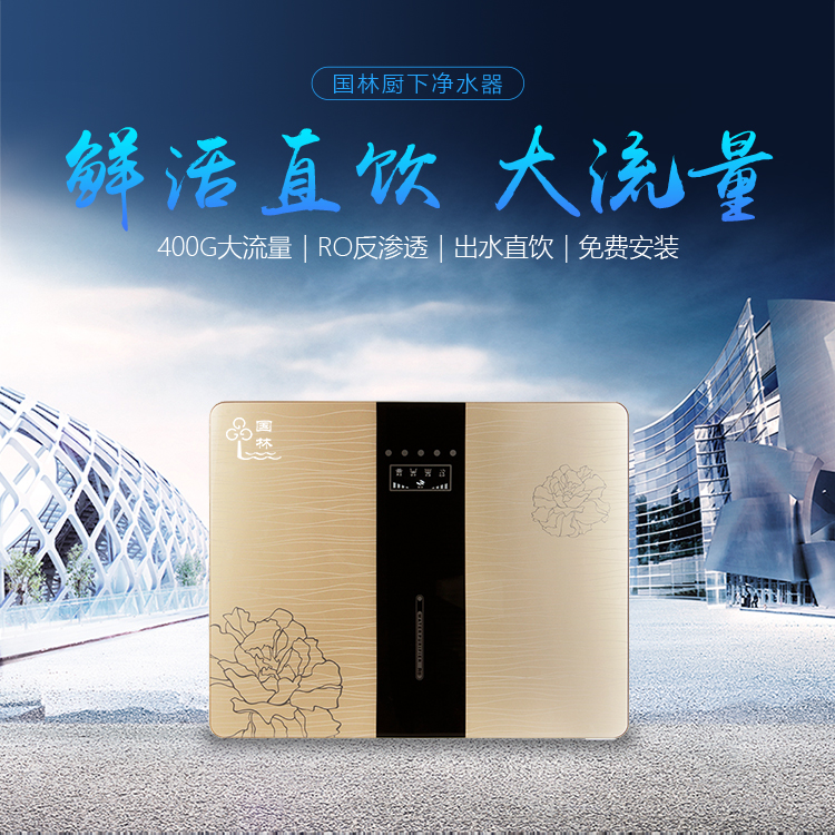 国林 家用直饮净水机 400G大流量 强化过滤保留矿物质 一体式饮水机 黄色 400G