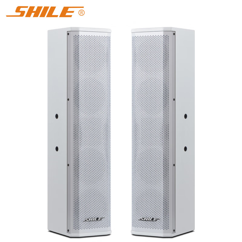狮乐（SHILE）BX-406白色款高档会议音箱壁挂音柱 多功能厅培训室无源音箱一对