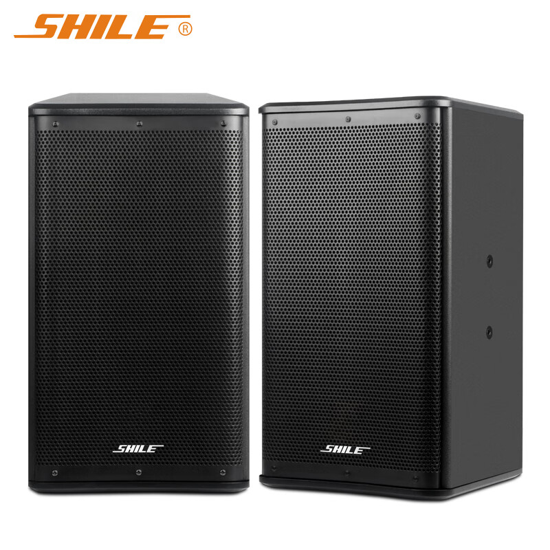狮乐（SHILE）音箱BX-110专业会议室培训音响 十英寸背景音乐家庭影院专业对箱木质无源音箱一对