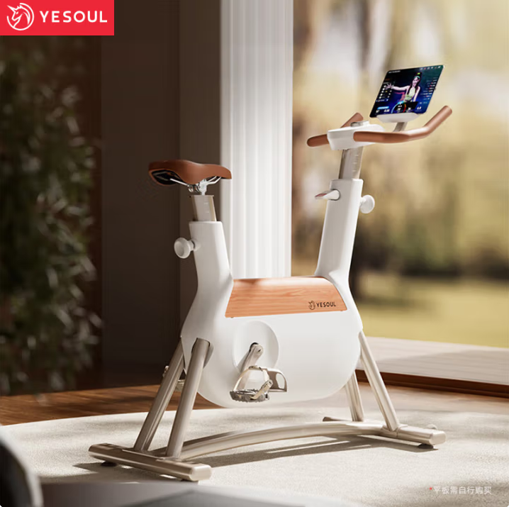 野小兽家用运动锻炼健身器材室内自行车R6 小木马自发电动感单车
