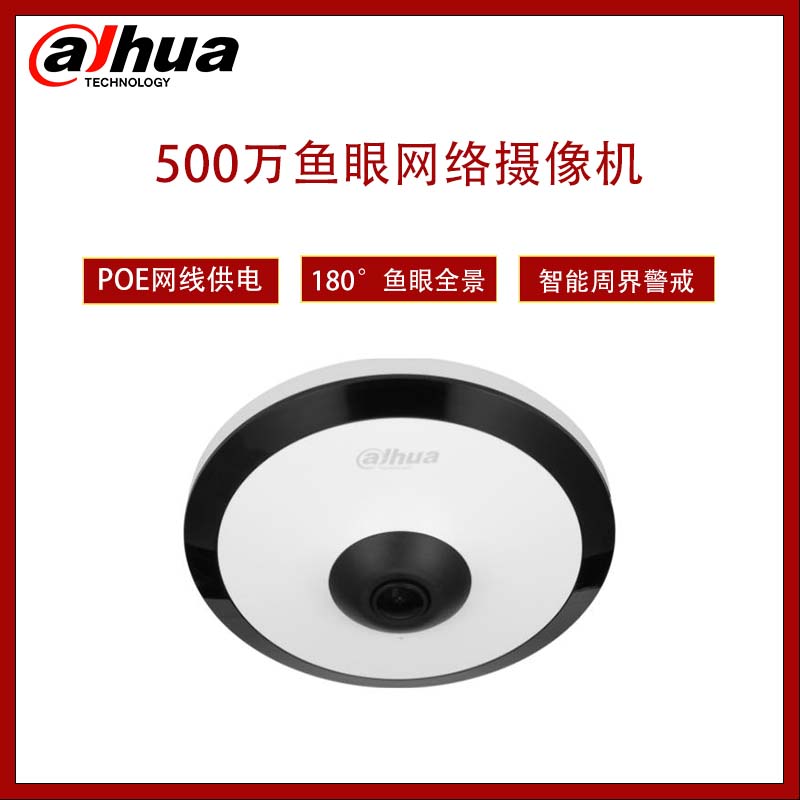 大华  DH-IPC-EW4541-AS   500万红外定焦鱼眼网络摄像机  不标配电源  无内存卡