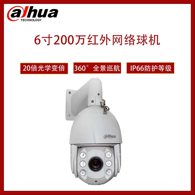 大华 Dahua  6寸200万红外网络球机  DH-SD6220  标配电源  