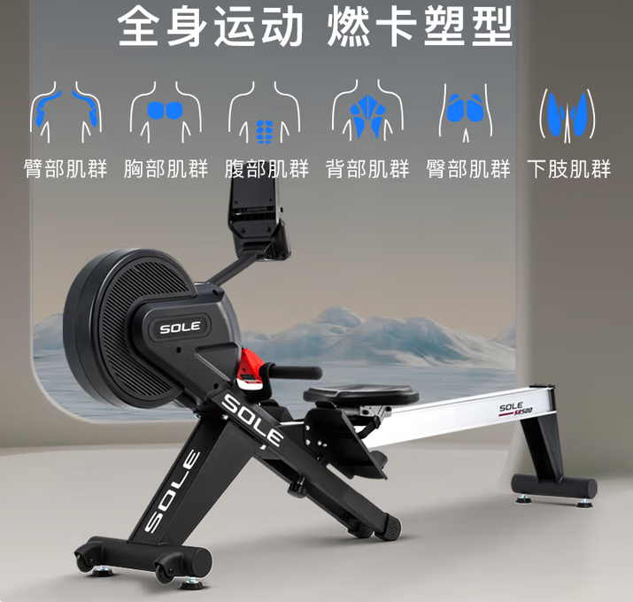 速尔（SOLE）美国品牌【整机进口风磁双阻】智能家用划船机健身器材SR500