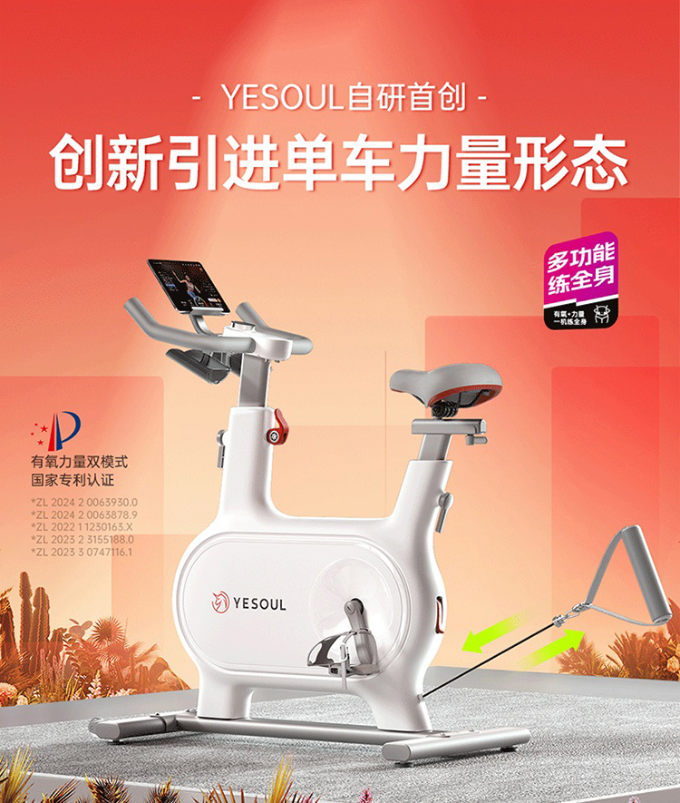 野小兽（YESOUL）美体动感单车家用健身运动器材室内自行车M2T [心率版M2M]智能调阻丨速燃环