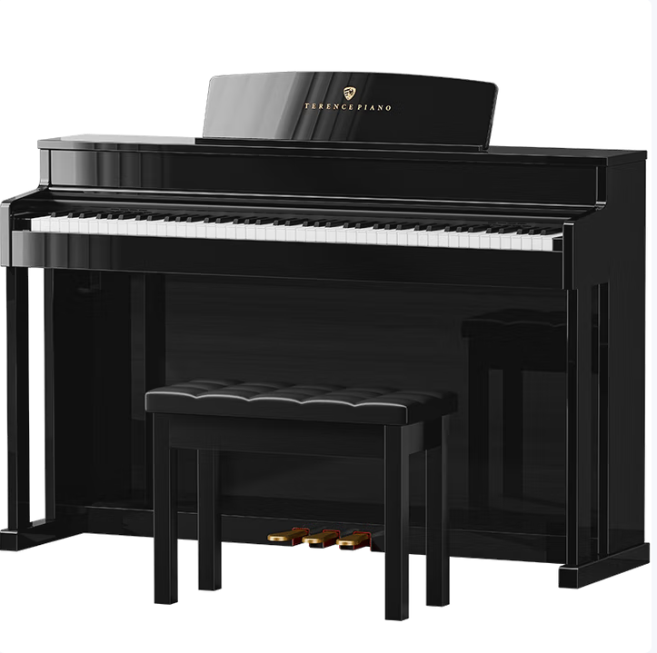 特伦斯电钢琴88键重锤数码电子钢琴专业成人儿童初学入门考级E55